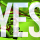 Image for article titled Should You Buy Mario Kart 7? Yes.